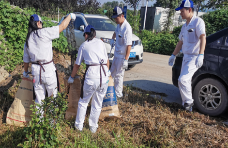 2023年6月绿化活动